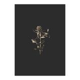 Golden Botanicals (Print Only) thumbnail