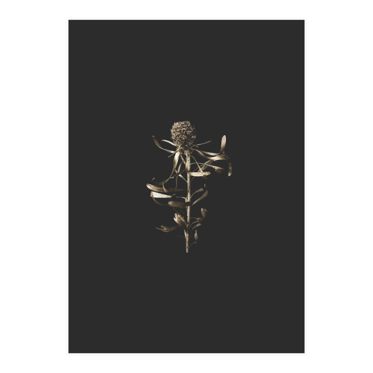 Golden Botanicals (Print Only)