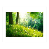 Nature (Print Only) thumbnail
