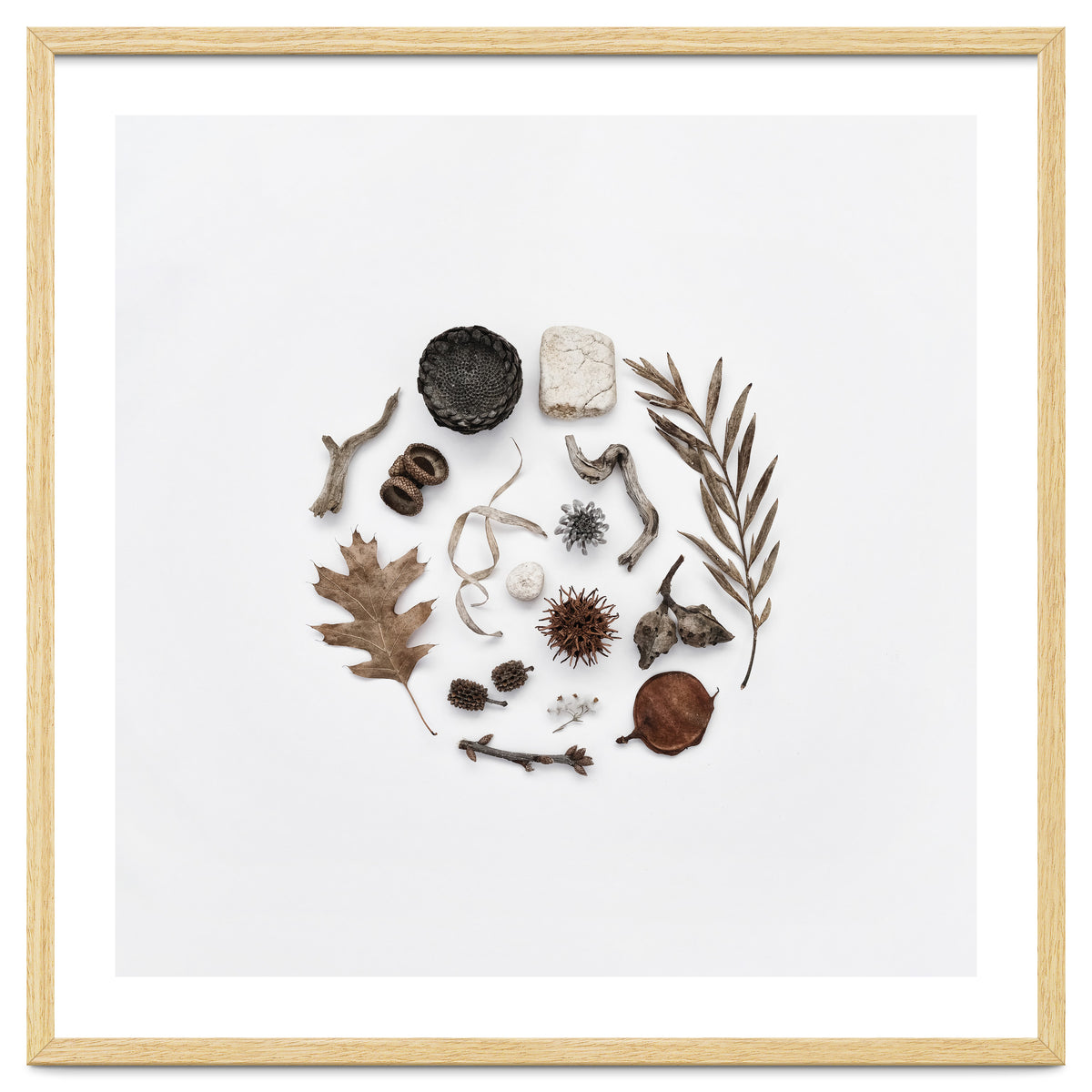 Treasures From Nature No. 2 - Square