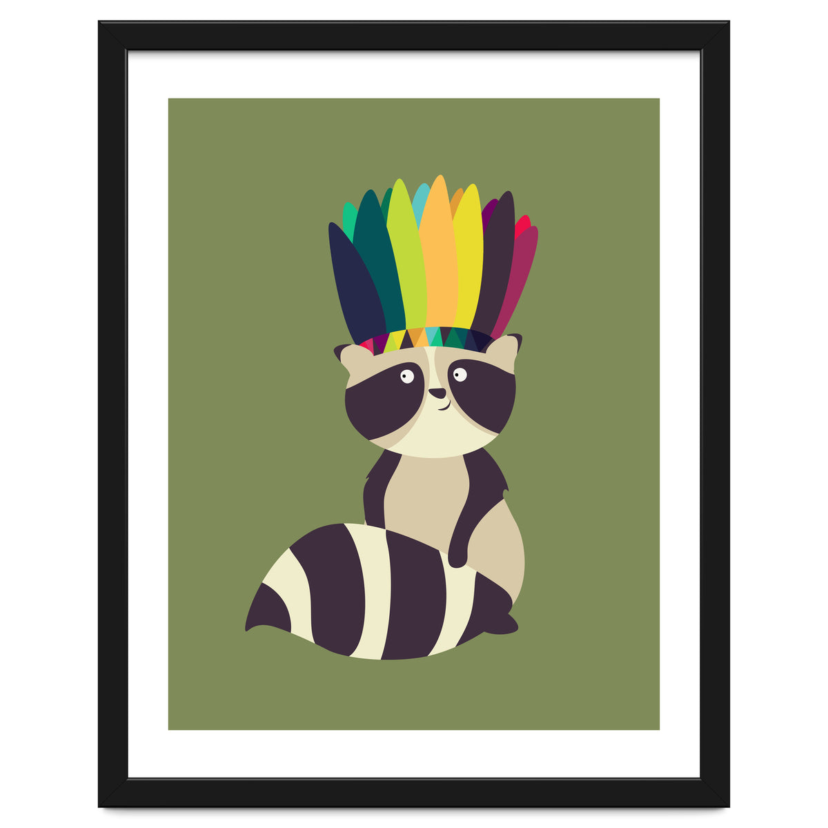 Indian Raccoon