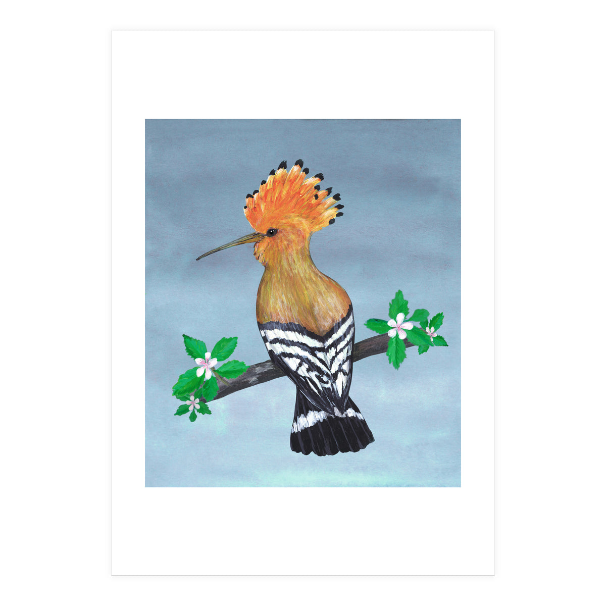 Hoopoe bird (Print Only)