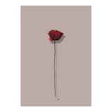 Poppy (Print Only) thumbnail