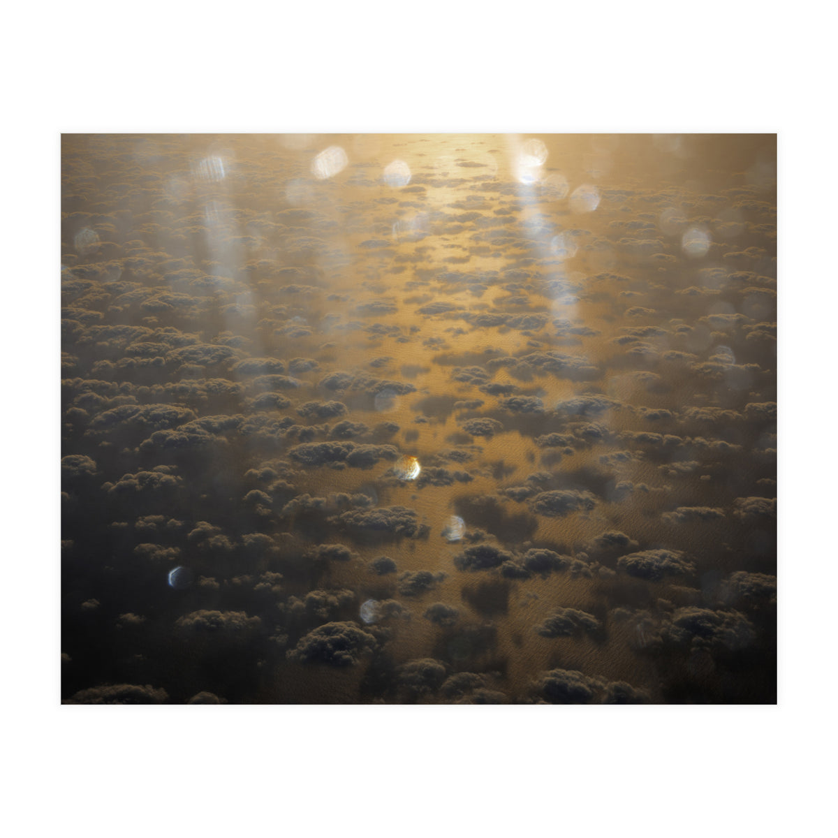 Rise & Shine (Print Only)