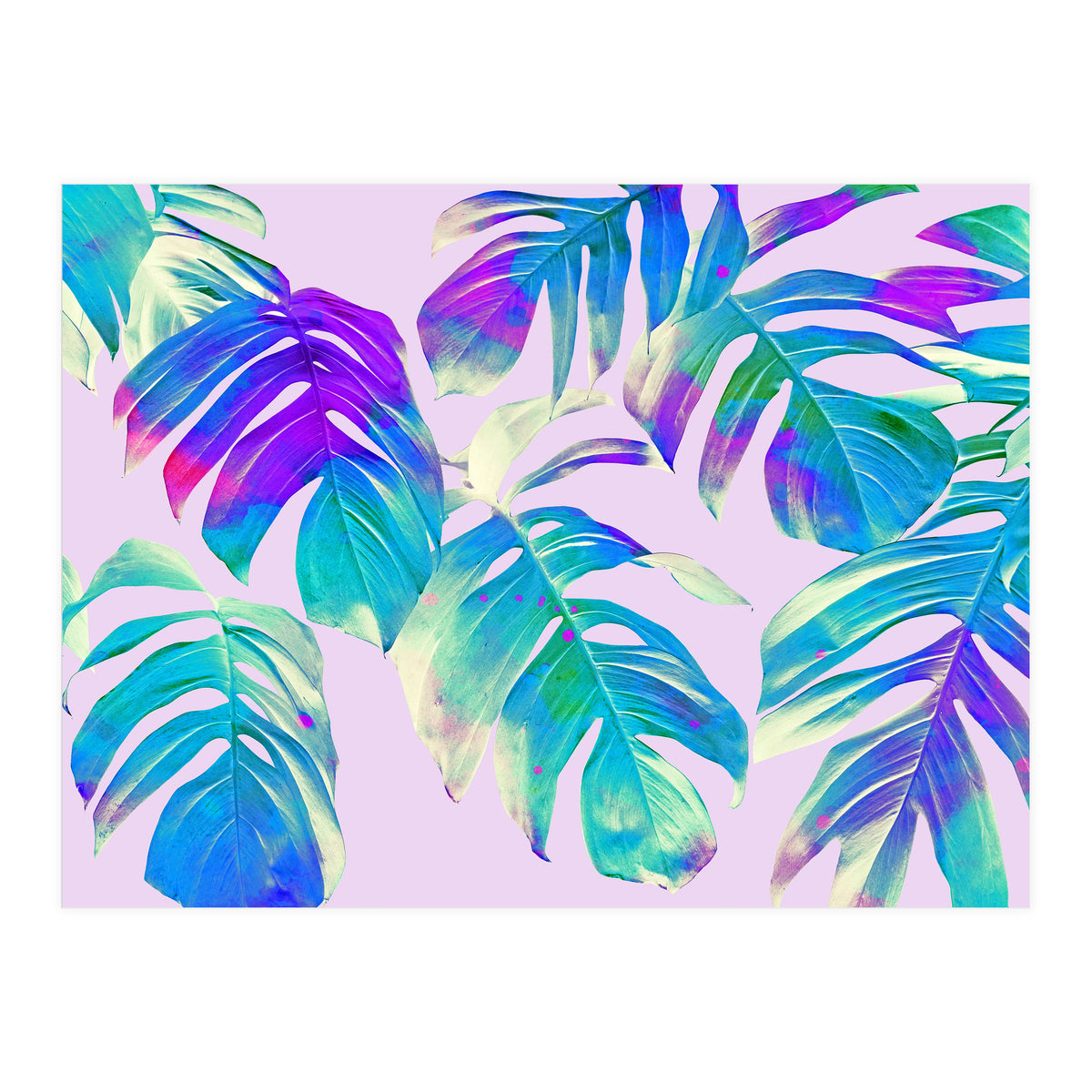 Monstera Leaves (Print Only)