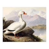 White Duck on the Lake Shore Vintage Painting (Print Only) thumbnail