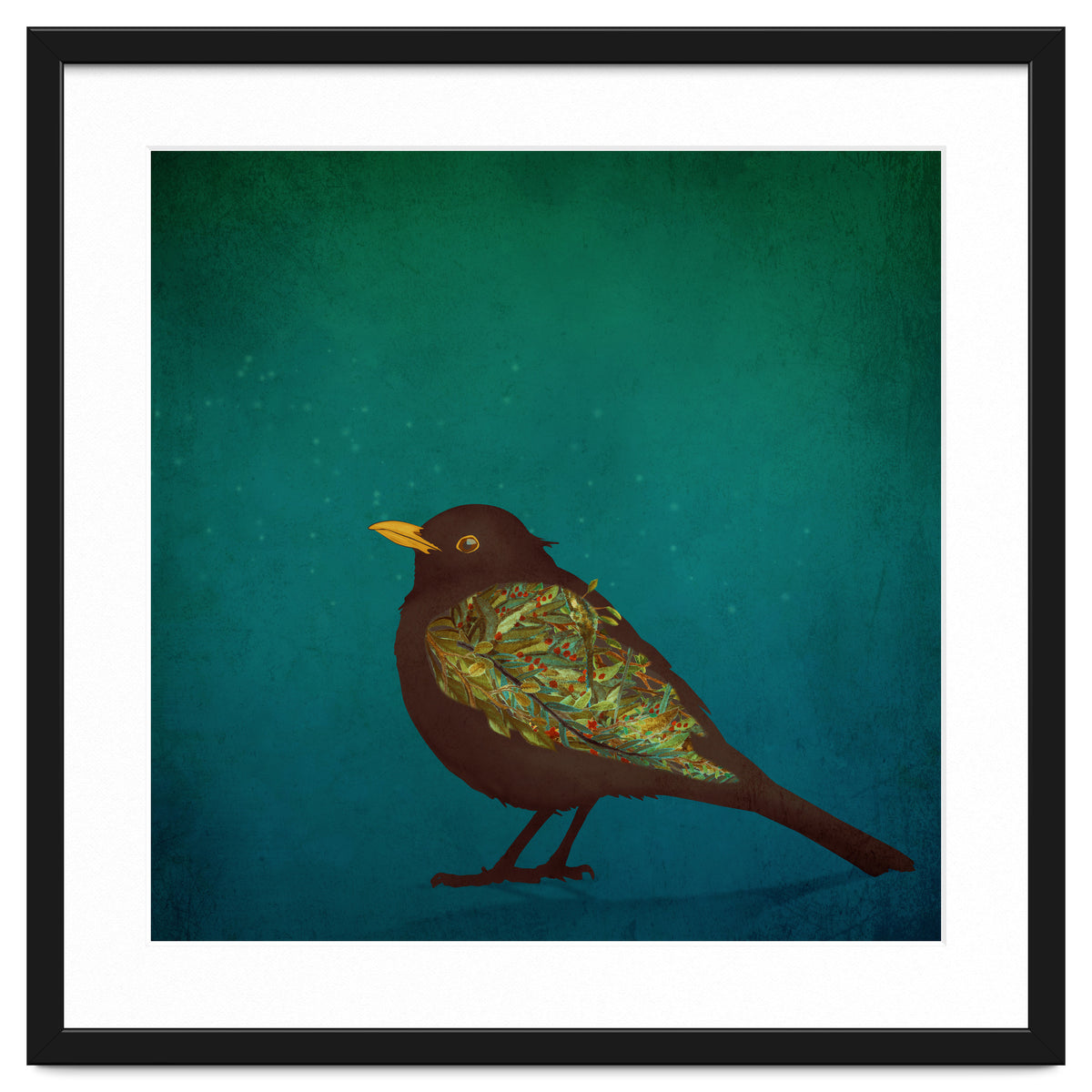 Camouflage: The Blackbird