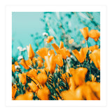 Nyla (Print Only) thumbnail
