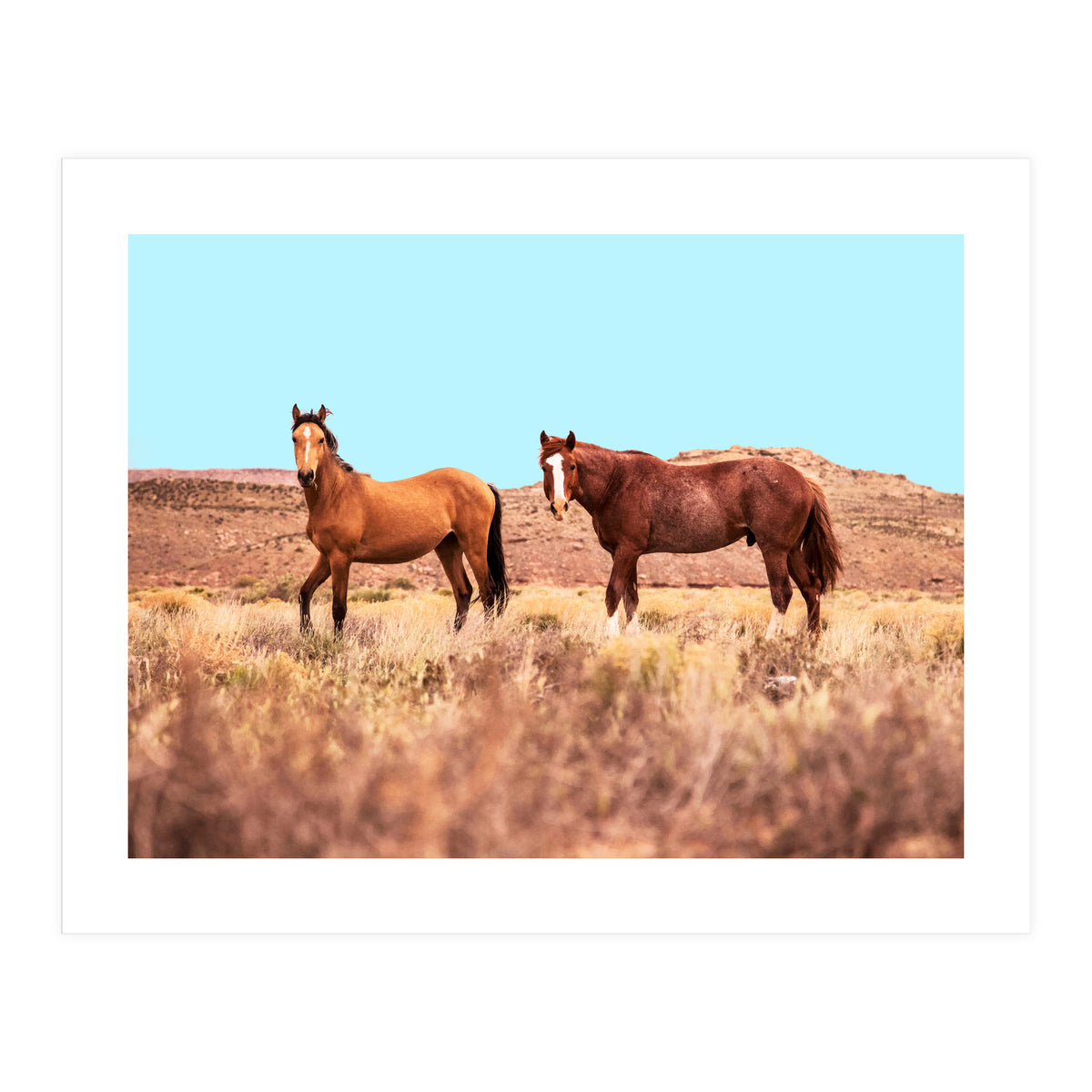 Horses #society6 #decor #buyart (Print Only)