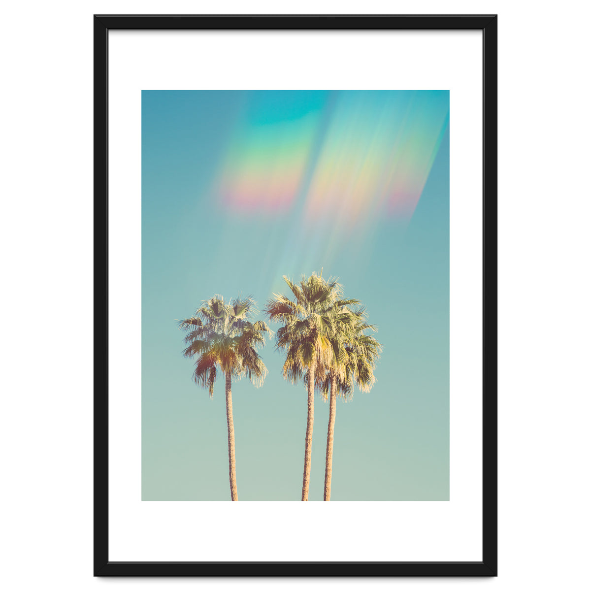 Groovy California Palm Trees
