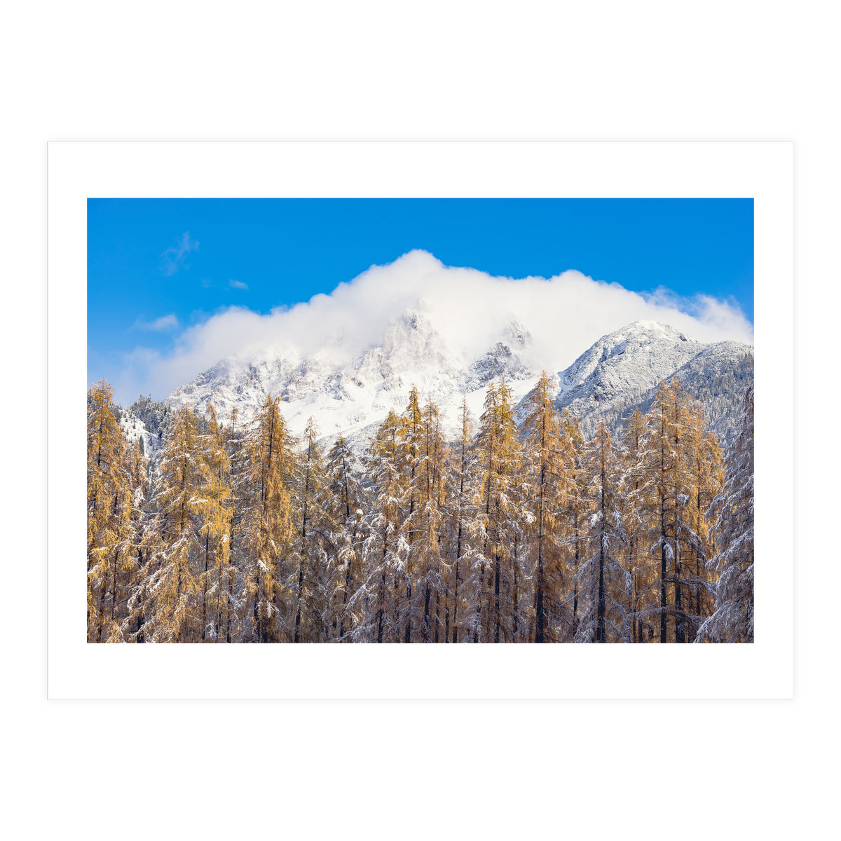 Cloudy Crown (Print Only)