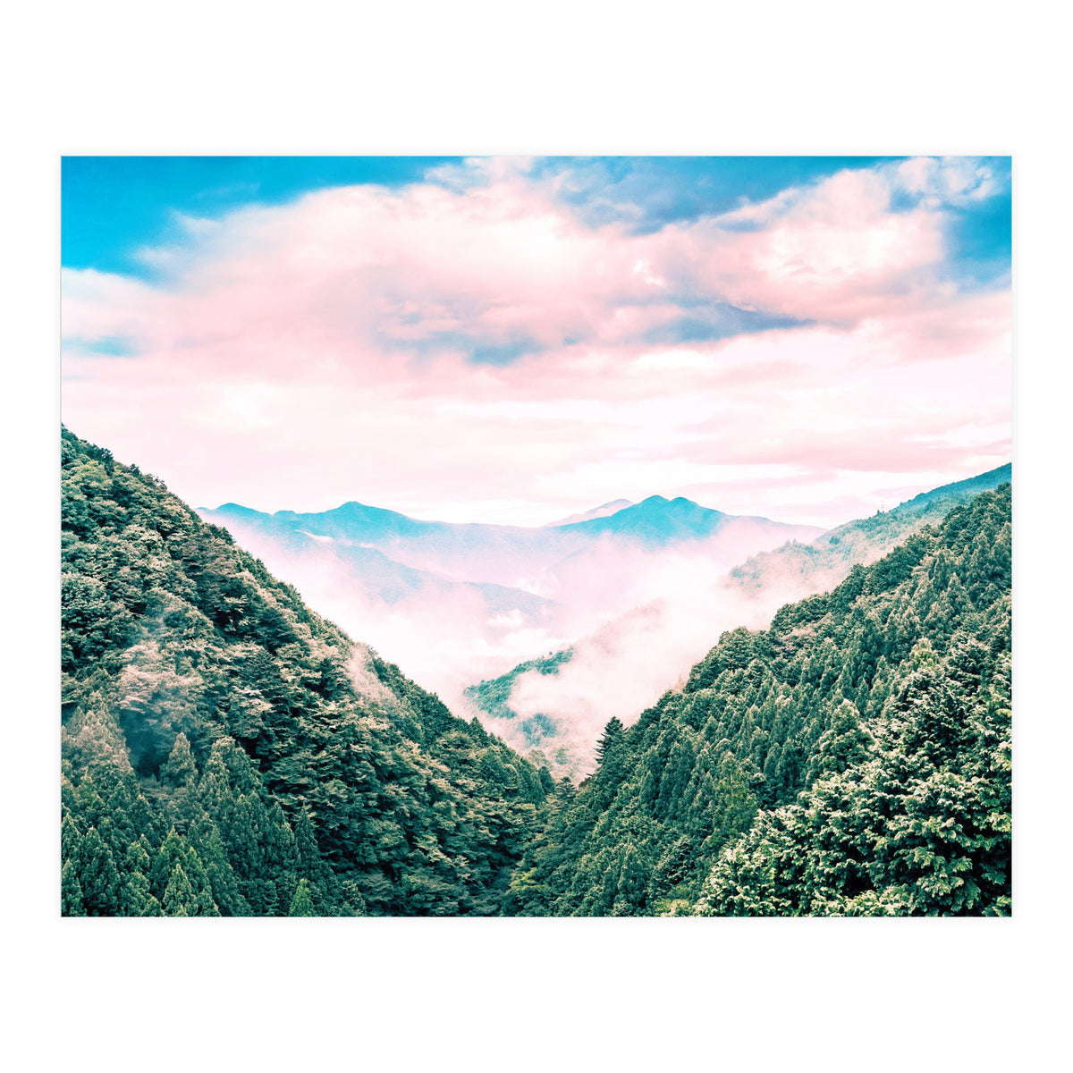 The View Ii (Print Only)