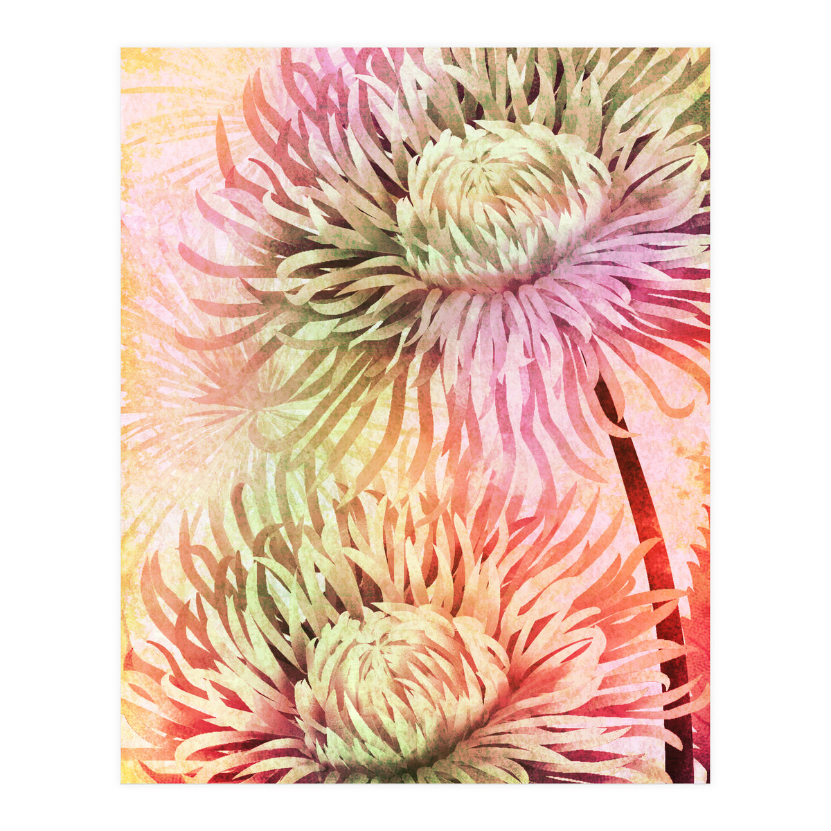 Blooming Flowers (Print Only)