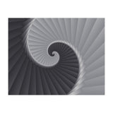 Spiral Staircase (Print Only) thumbnail
