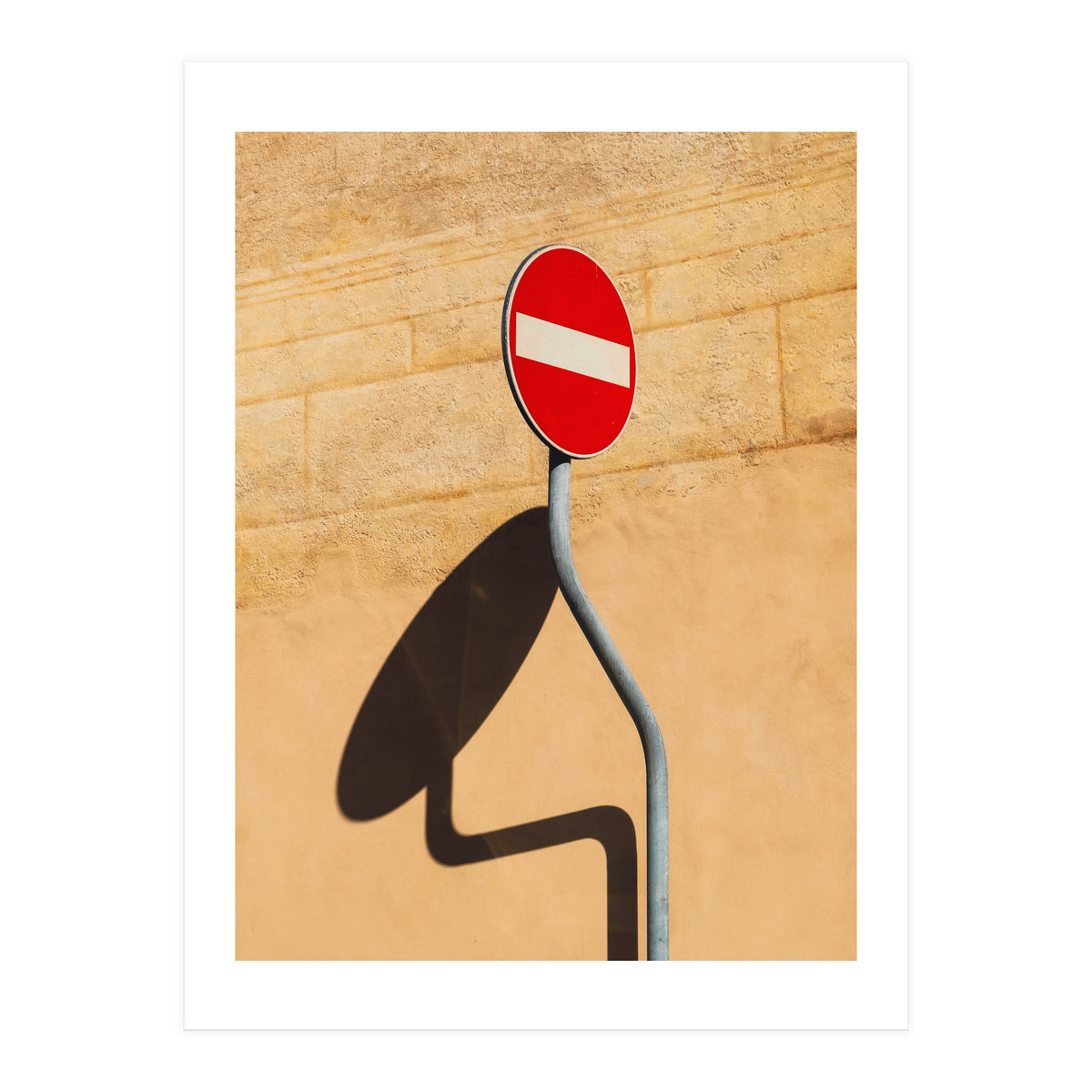 Snake on wall (Print Only)