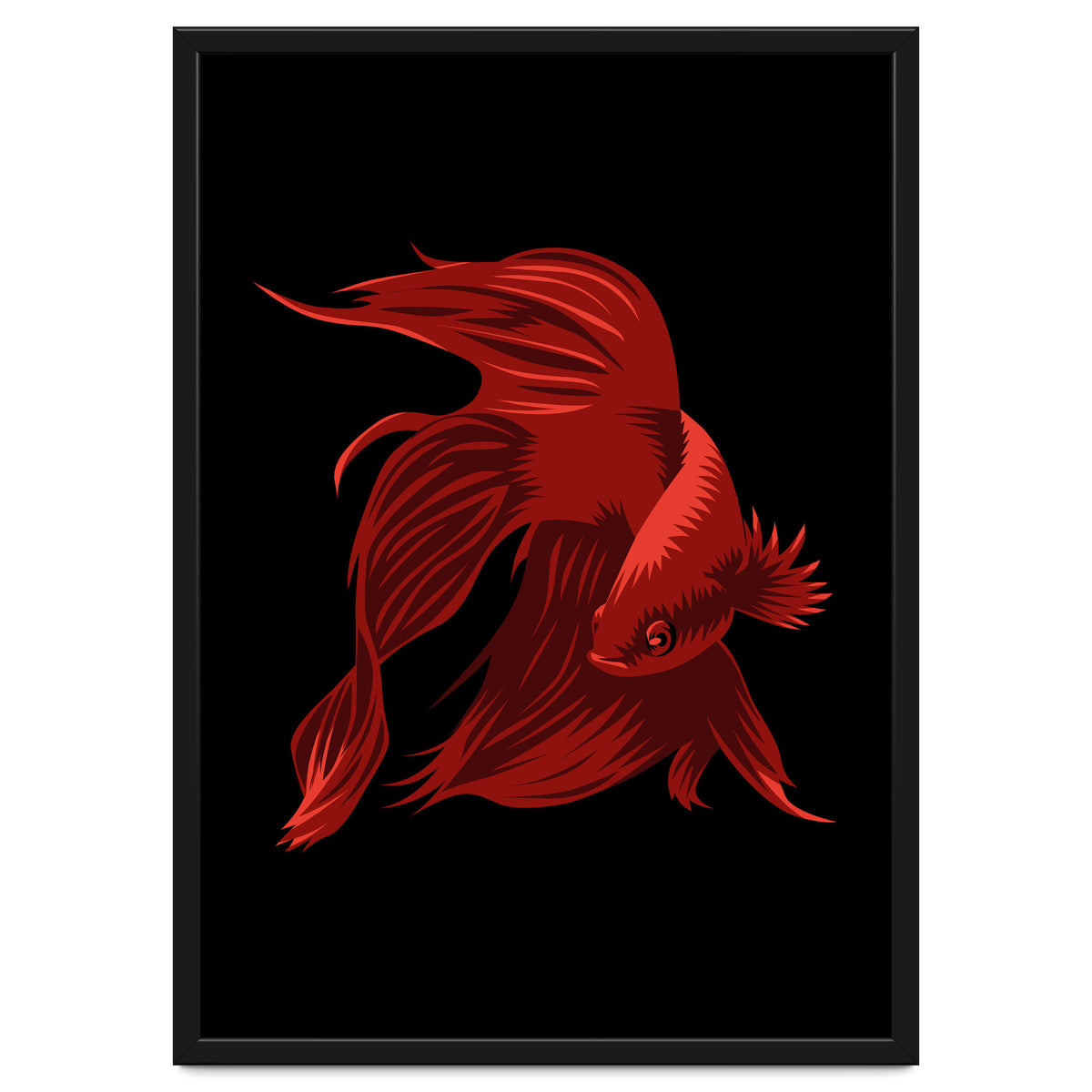 Betta