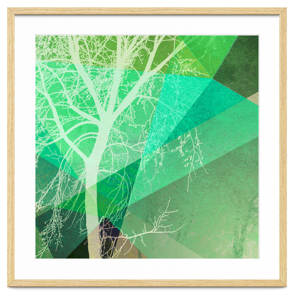 P22-B3 Trees And Triangles