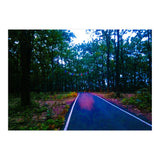 Into The Wild (Print Only) thumbnail