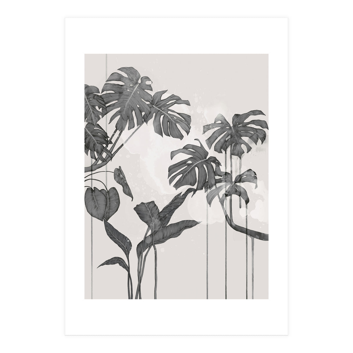 Foliage Grey (Print Only)