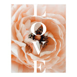 Love (Print Only) thumbnail