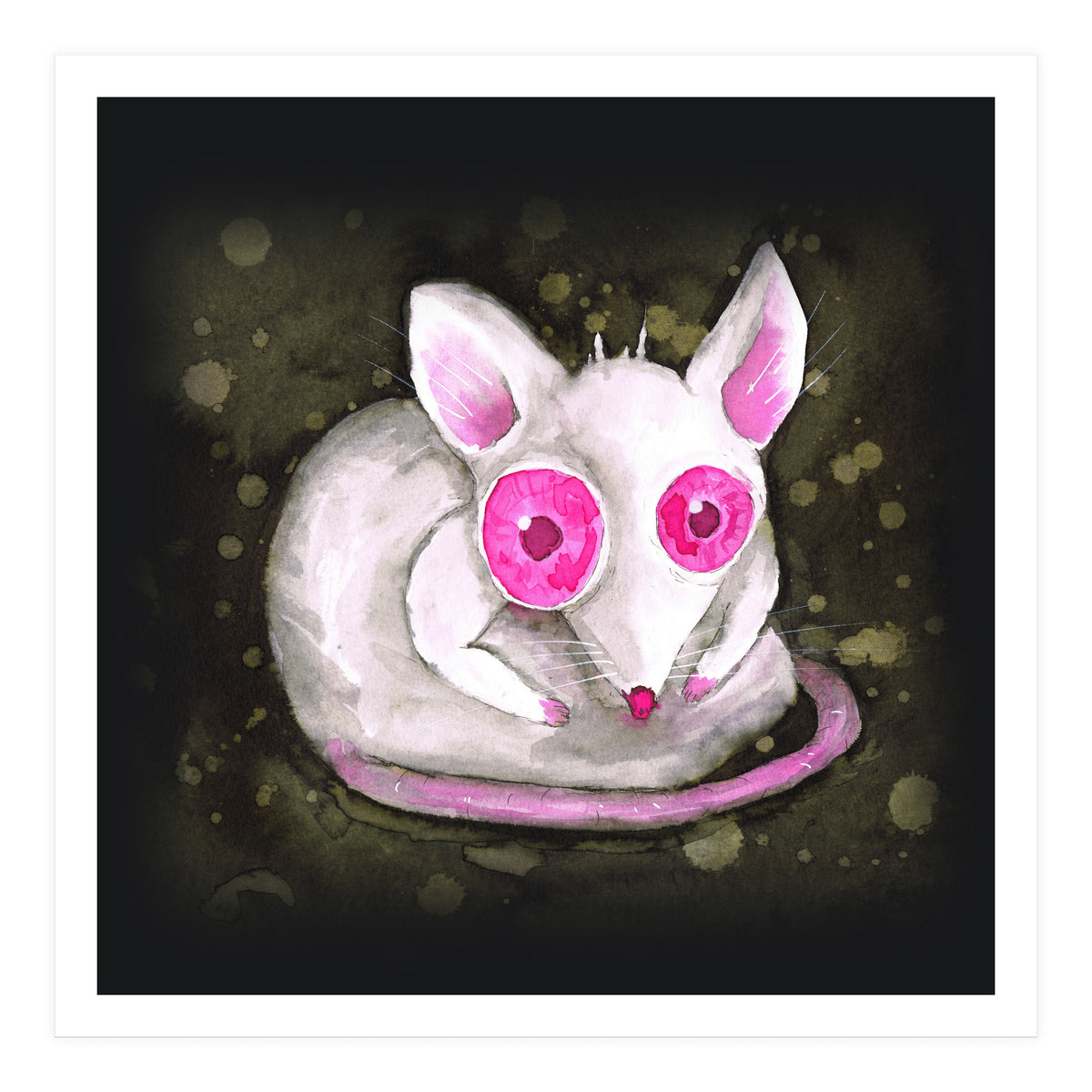 Albino rat (Print Only)