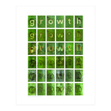 growth (Print Only) thumbnail