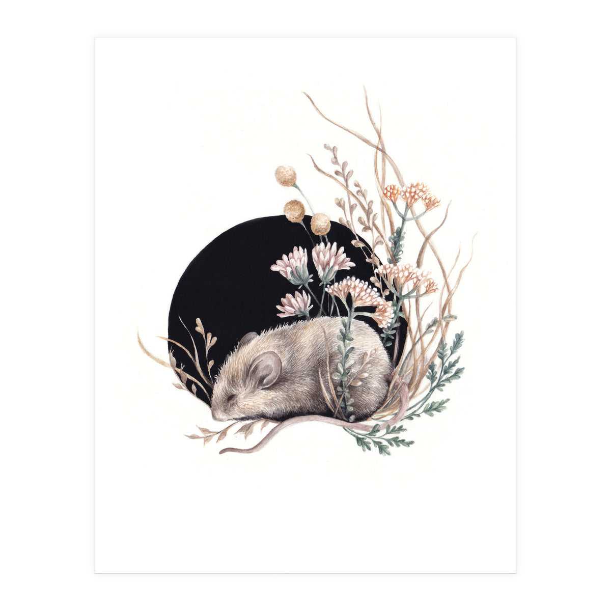Sleeping Mouse (Print Only)