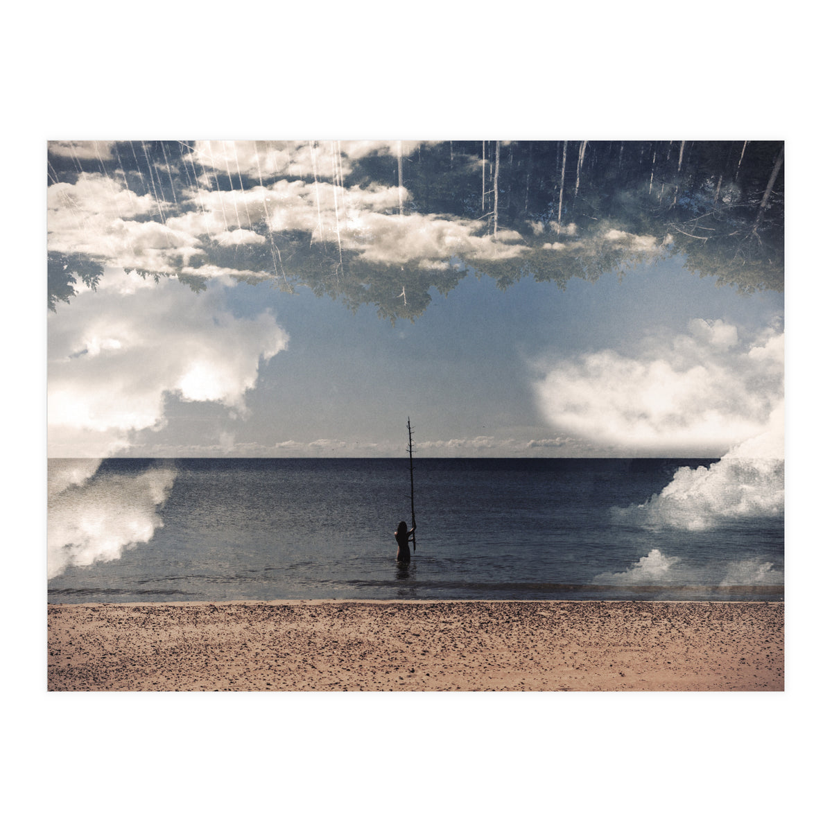 Sea the Forest (Print Only)