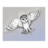 Attacking barn owl (Print Only) thumbnail