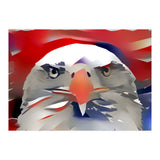 Bald Eagle (Print Only) thumbnail