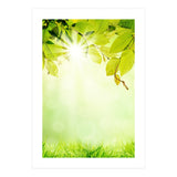 GREEN NATURE (Print Only) thumbnail