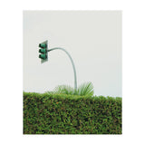 Urban Plant (Print Only) thumbnail