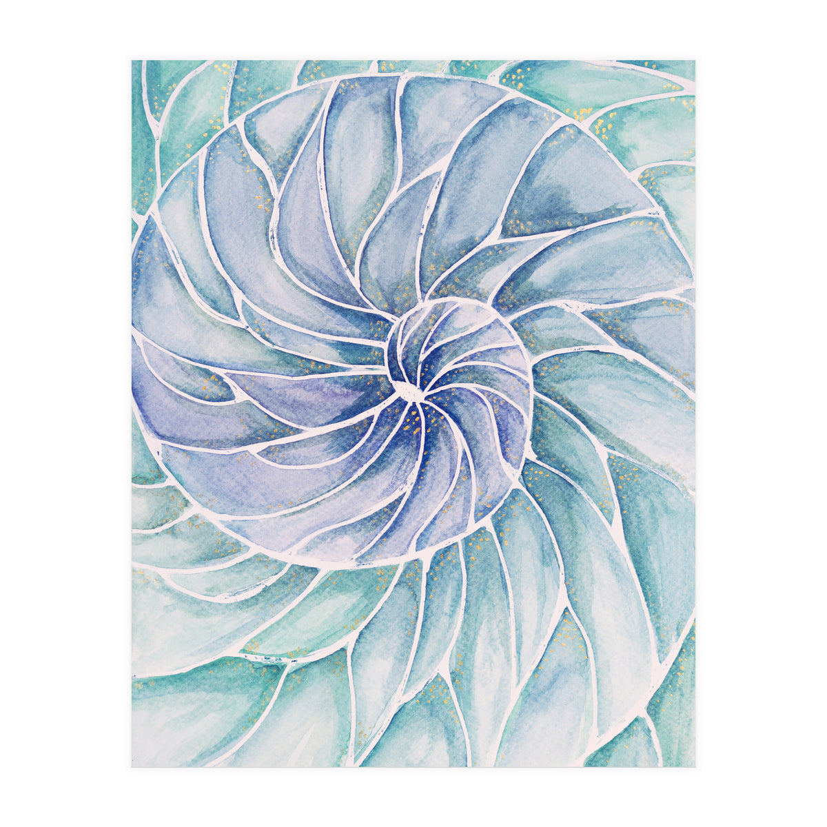 The inside of a shell (Print Only)