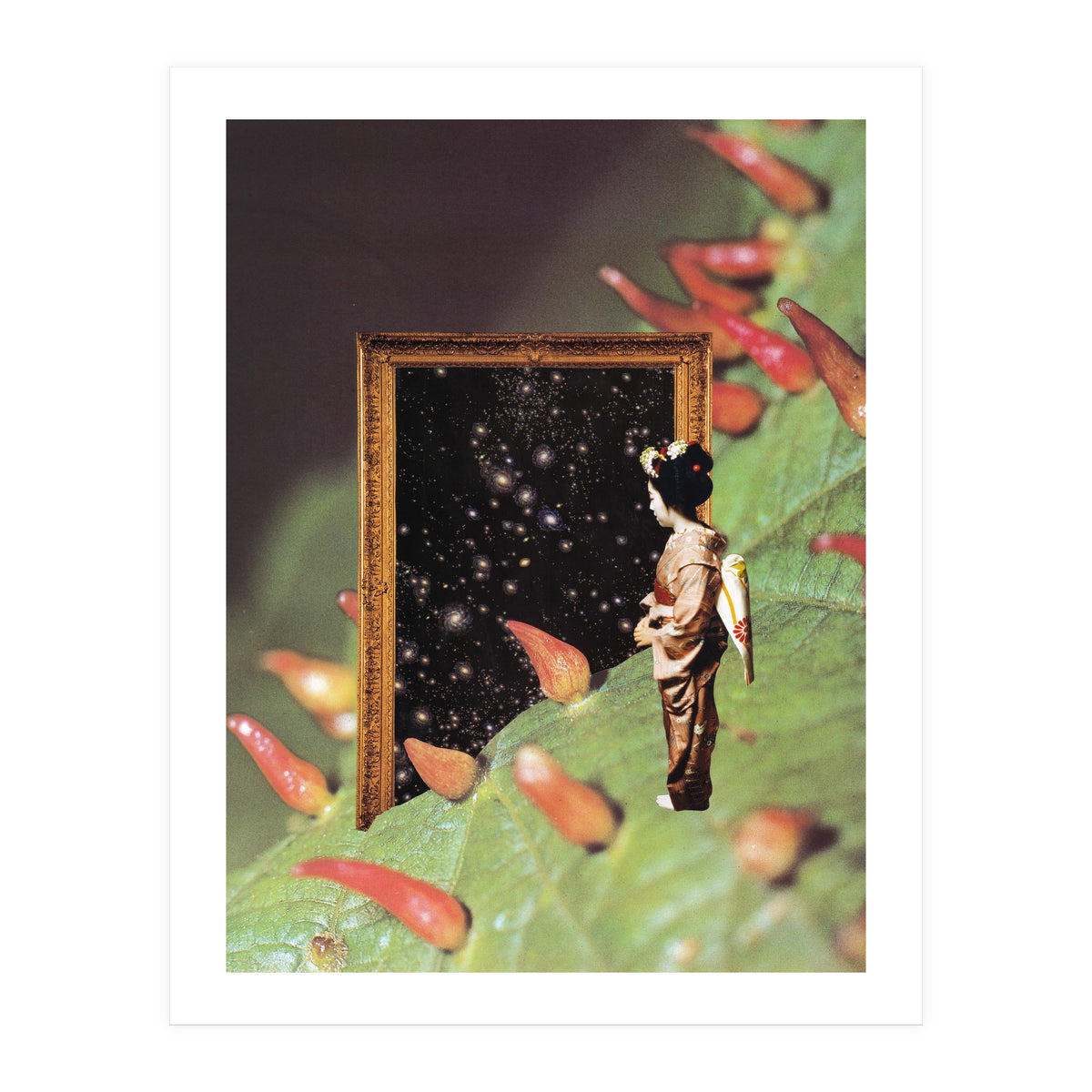 Cosmology (Print Only)