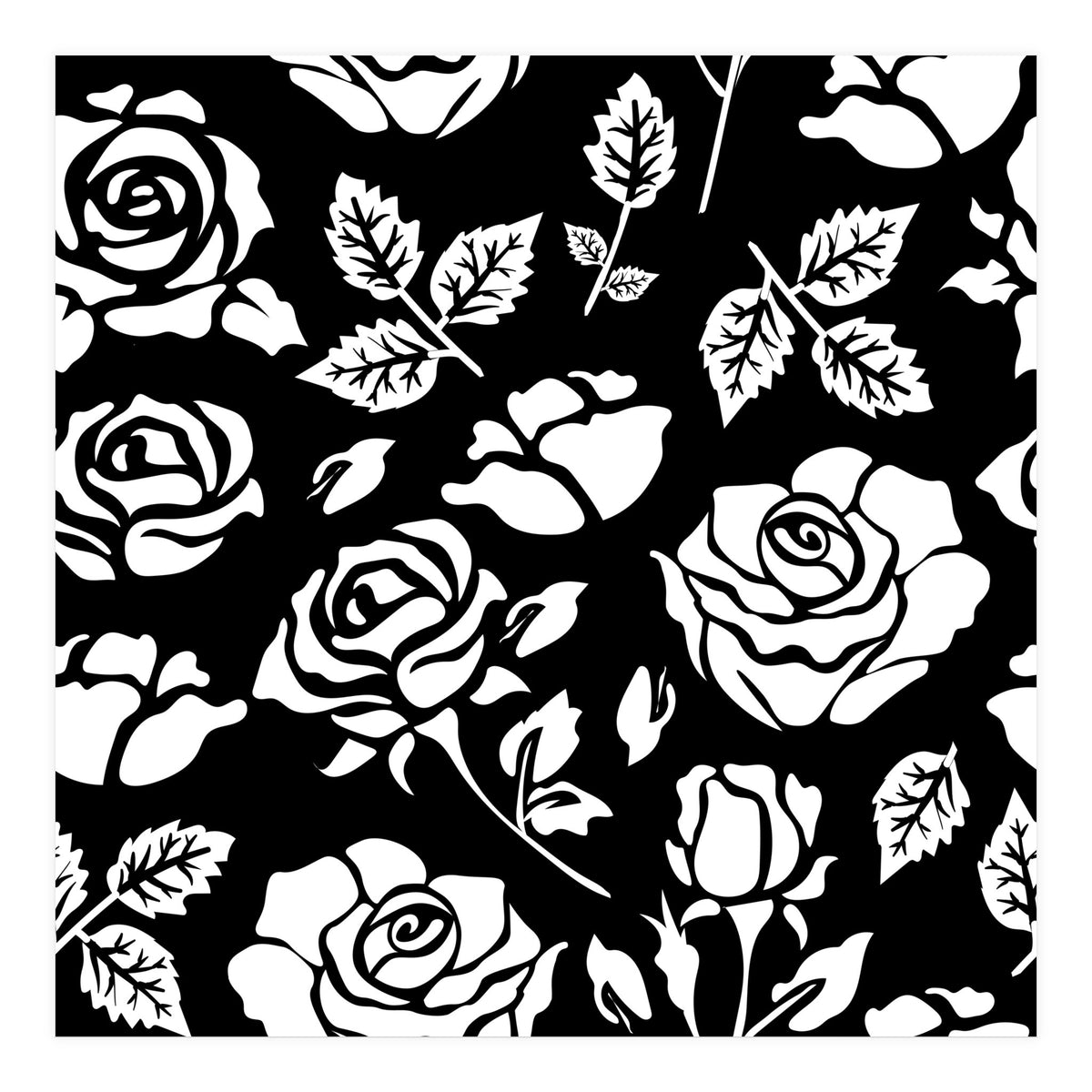 White Rose (Print Only)