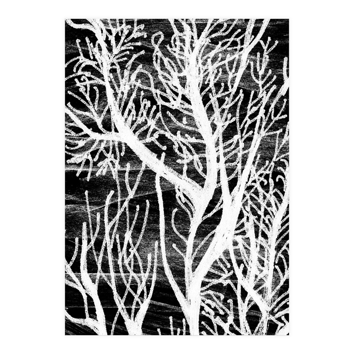 Desert Colours Collection 5 (Print Only)