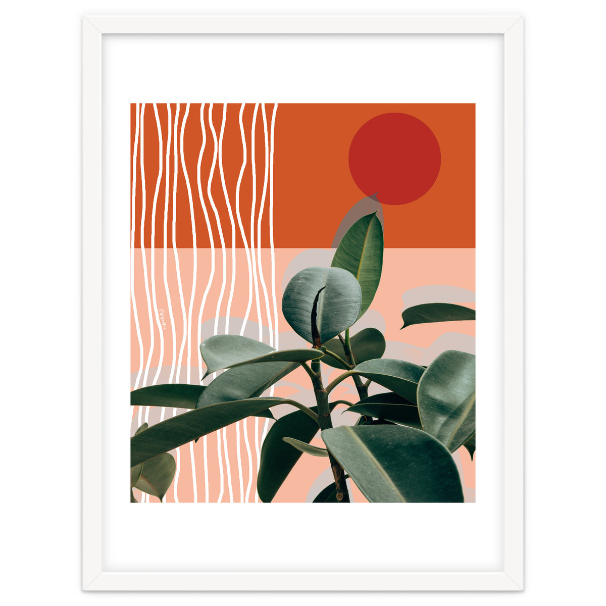 Times of a Growing Plant