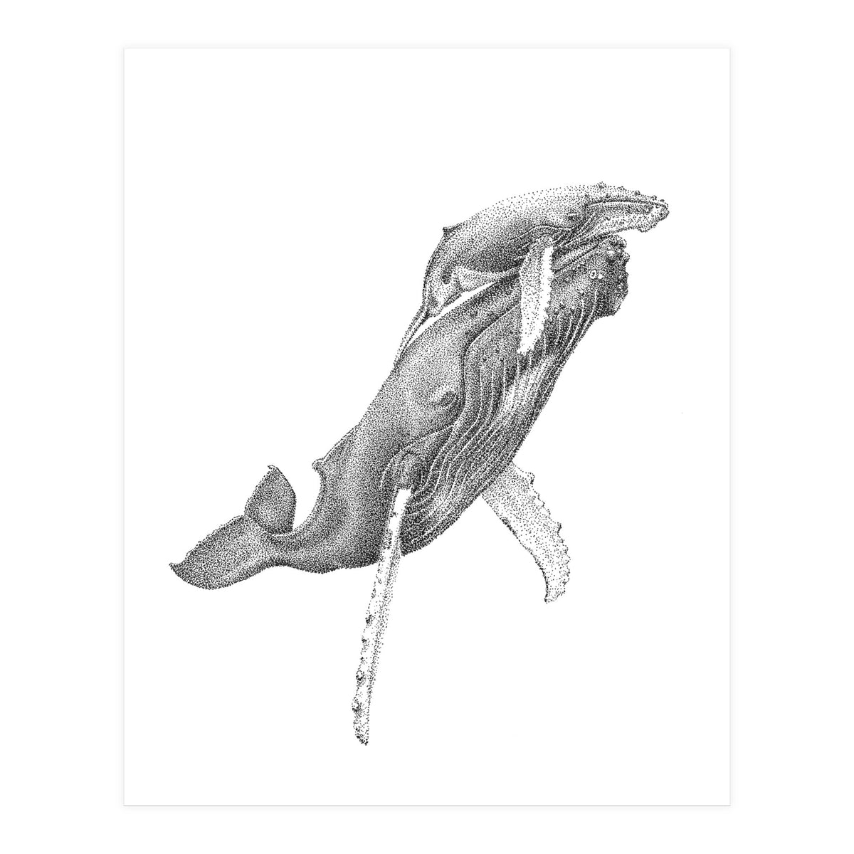 Humpacks no. 3 (Print Only)