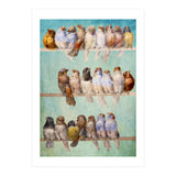 Birds Birds Birds (Print Only) thumbnail