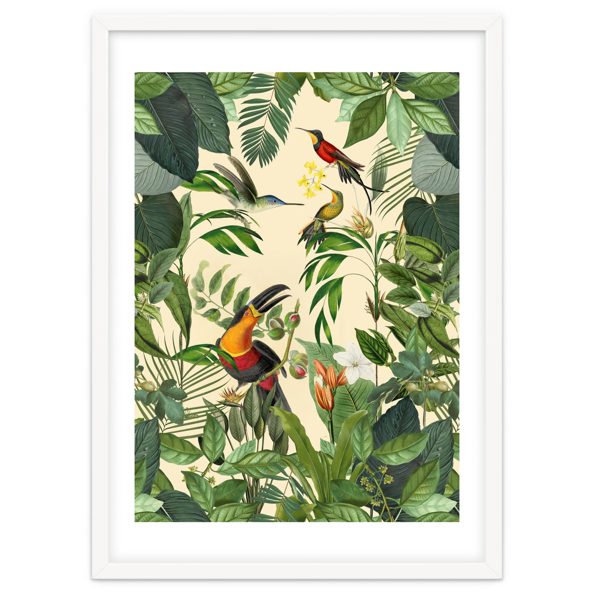 Green Jungle Toucans