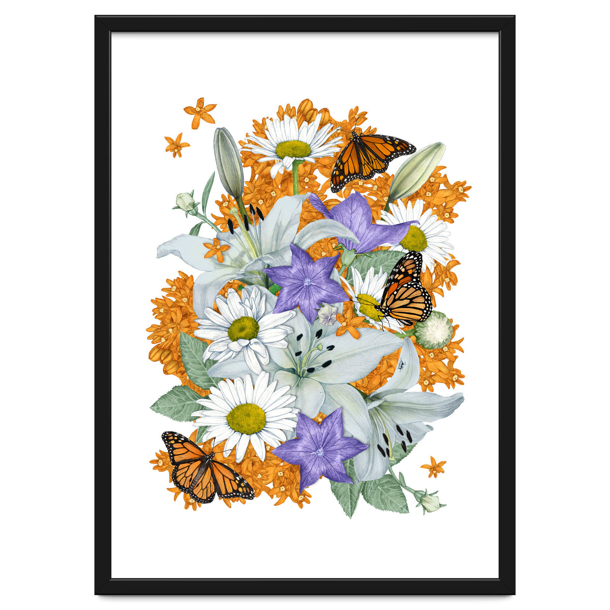 Lillies and Monarchs