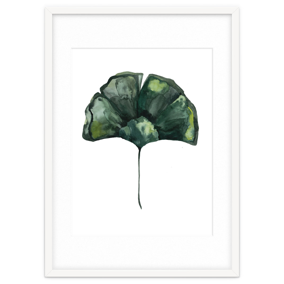 Botanical Illustration Ginko