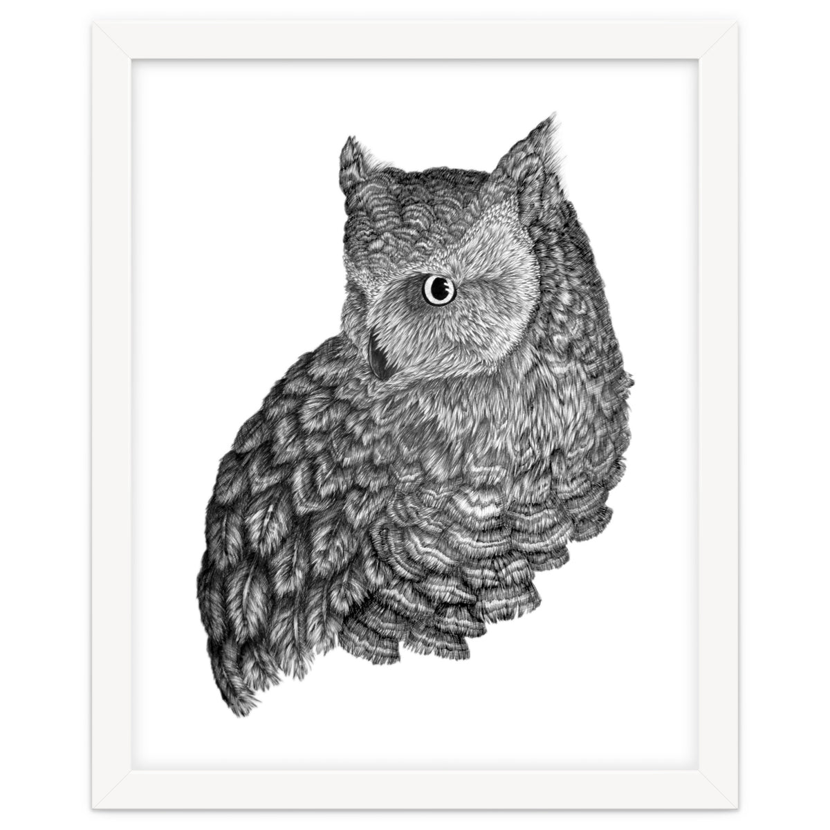 A Friend For Forsythe