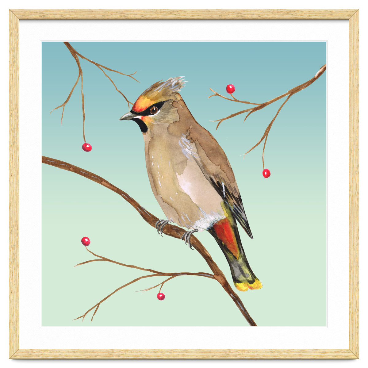 Bohemian waxwing