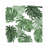Monstera Deliciosa (Print Only) thumbnail