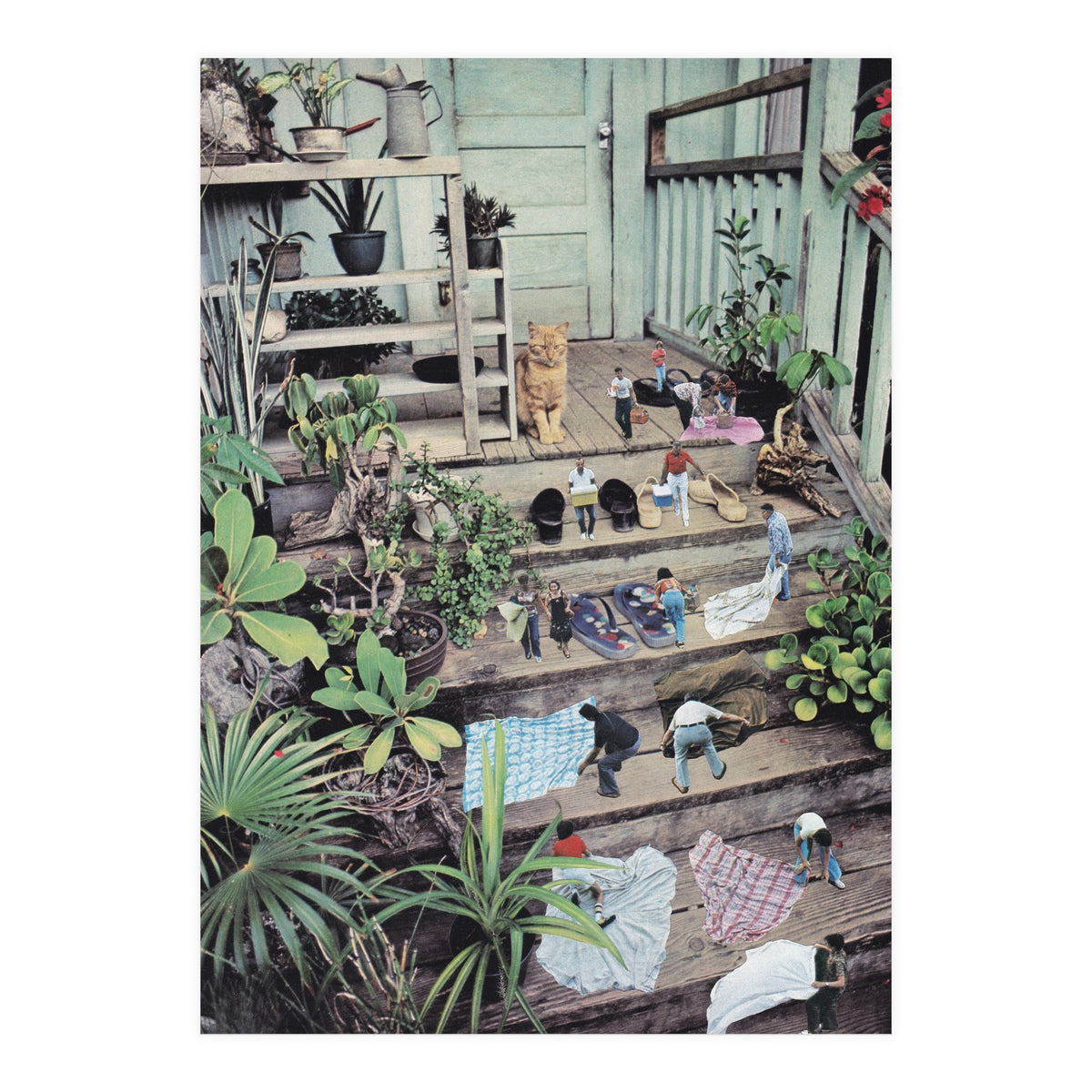 Big Cat (Print Only)