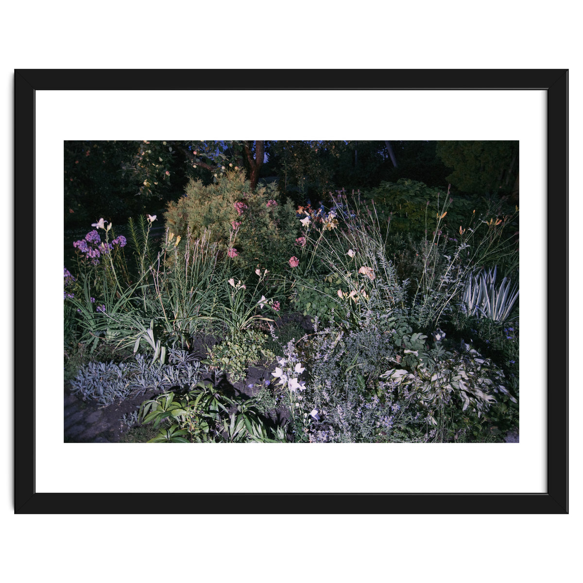 Picture Postcard Perfect