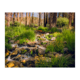San Gorgonio Stream (Print Only) thumbnail