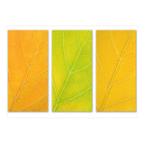 Autumn Leaves (Print Only) thumbnail