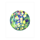 Vine Shadows (Print Only) thumbnail